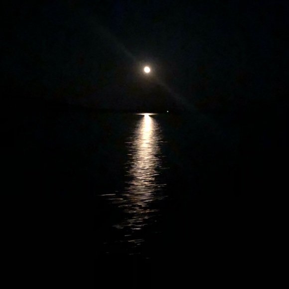 Meet your Posher, Chelsea - Picture 1 of 1